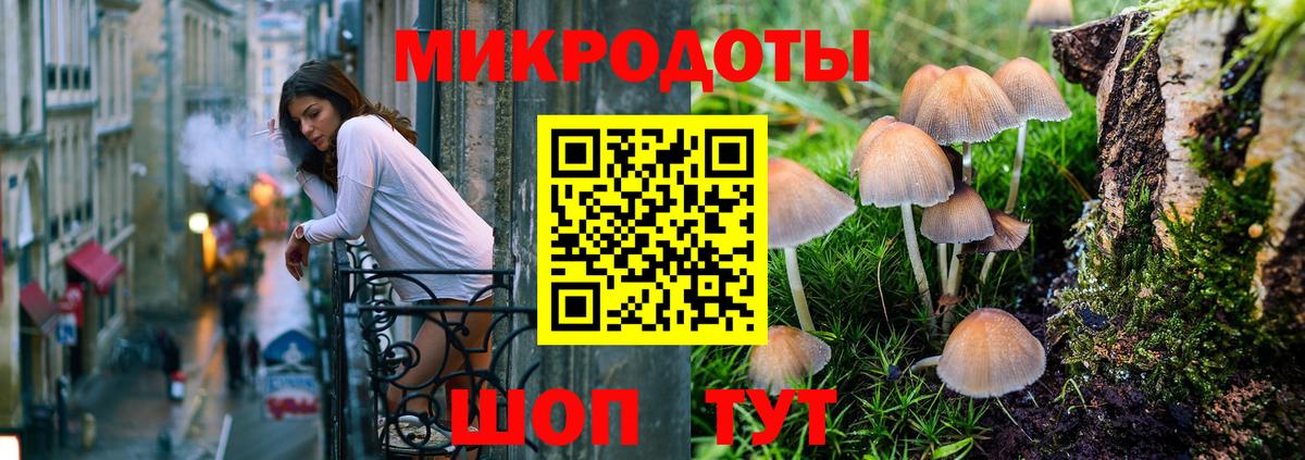 Псилоцибиновые грибы мицелий Чебаркуль