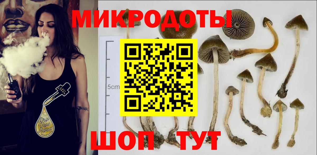 Чебаркуль  Галлюциногенные грибы ЛСД  Вход с VPN 